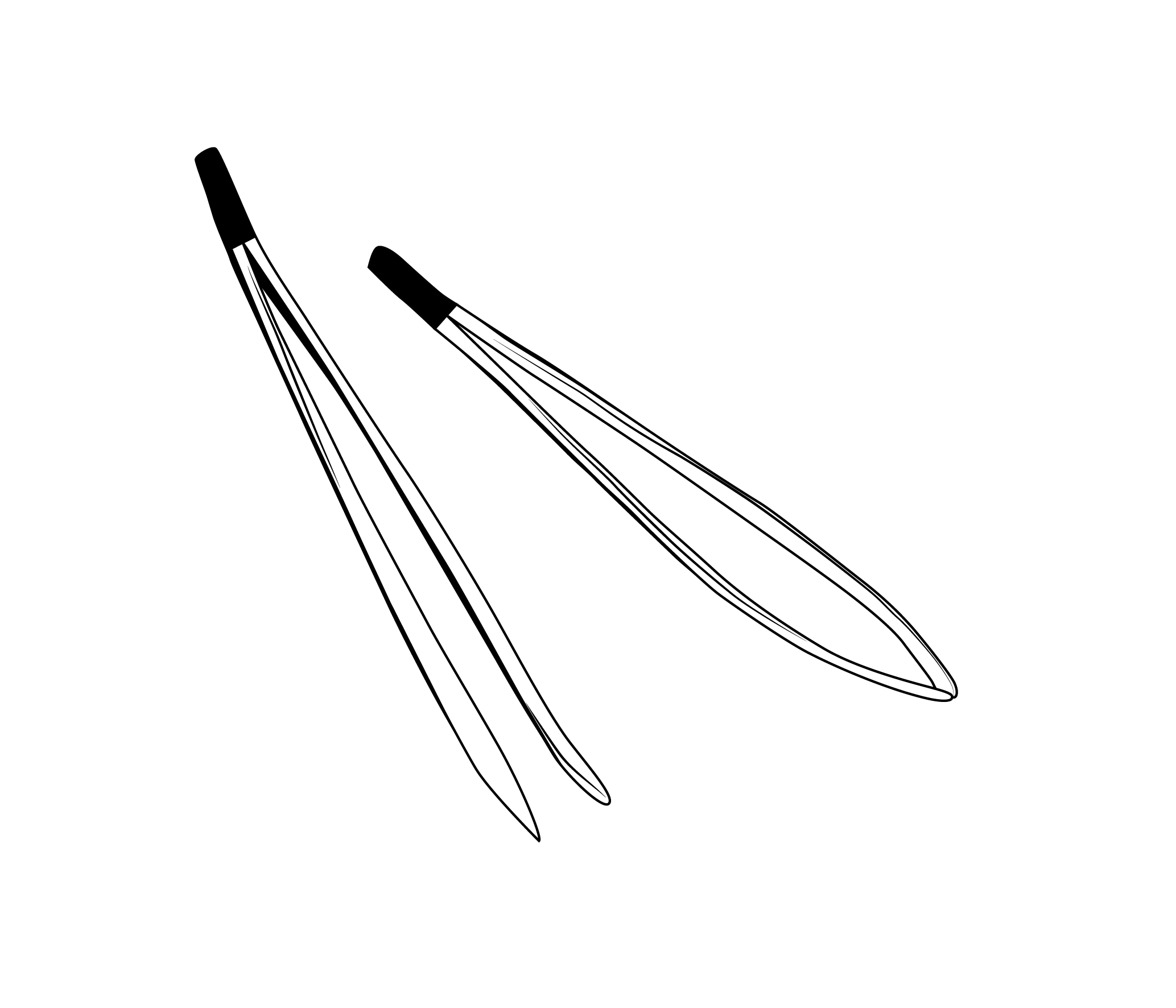 Takapihalta